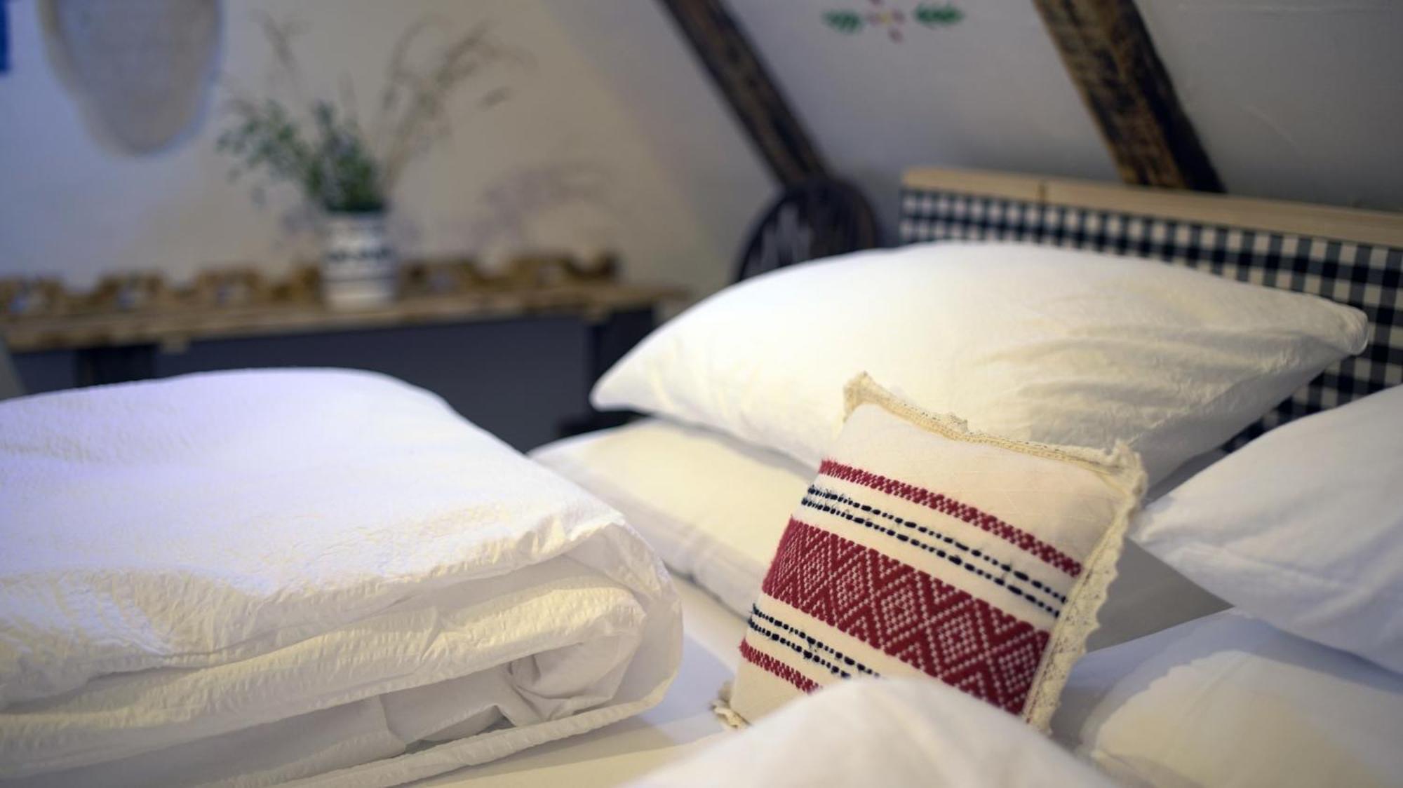Iz De Maramures Rural Hotel (Adults Only) Surdesti  Zewnętrze zdjęcie