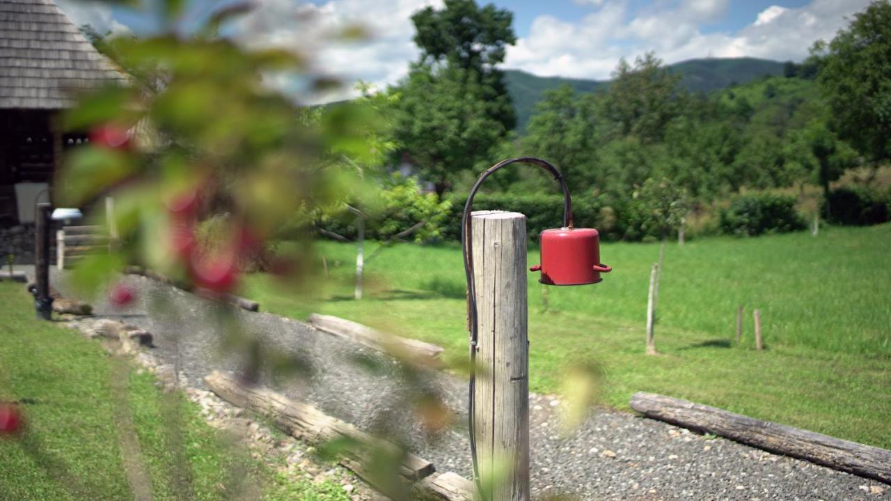 Iz De Maramures Rural Hotel (Adults Only) Surdesti  Zewnętrze zdjęcie