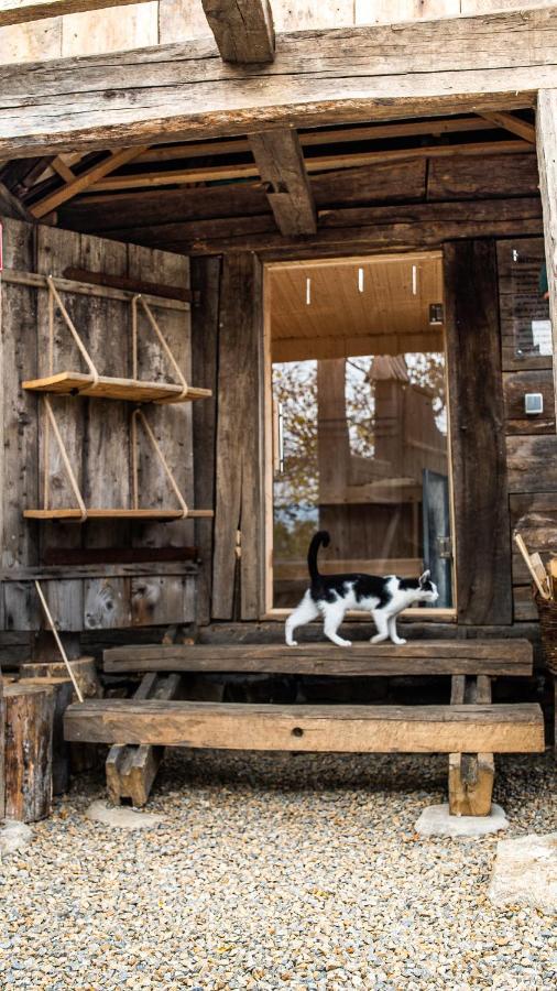 Iz De Maramures Rural Hotel (Adults Only) Surdesti  Zewnętrze zdjęcie
