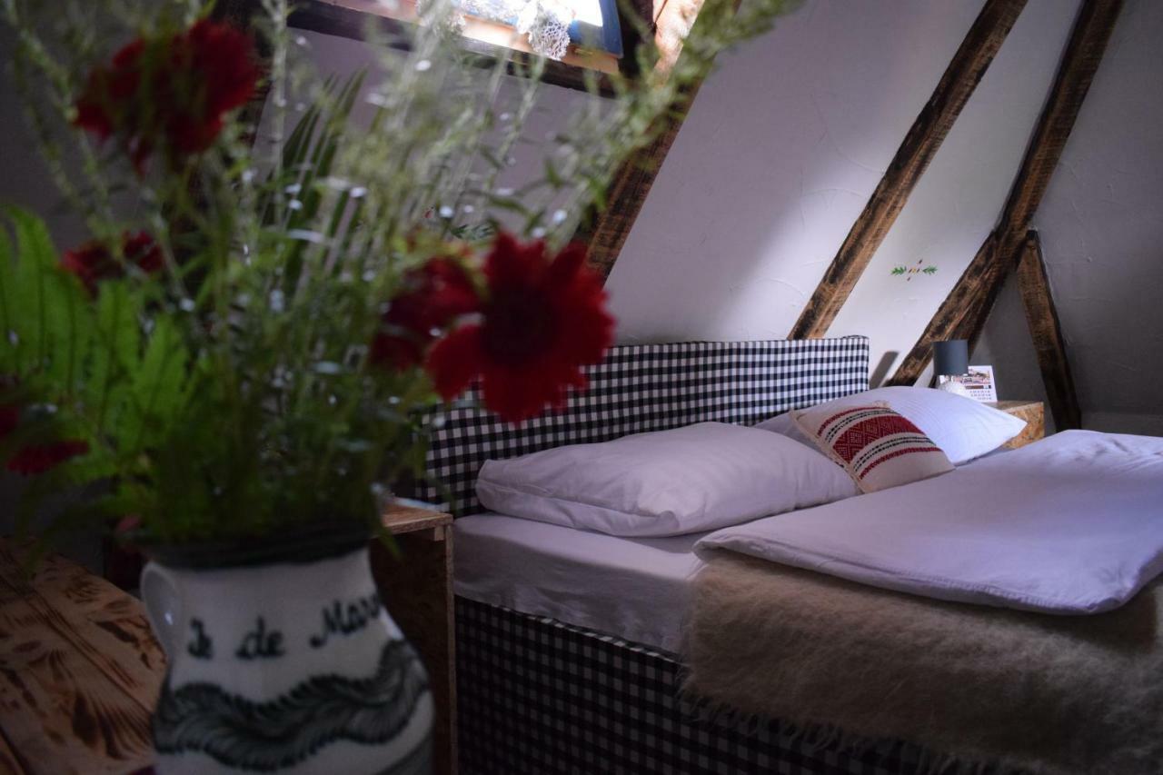 Iz De Maramures Rural Hotel (Adults Only) Surdesti  Zewnętrze zdjęcie